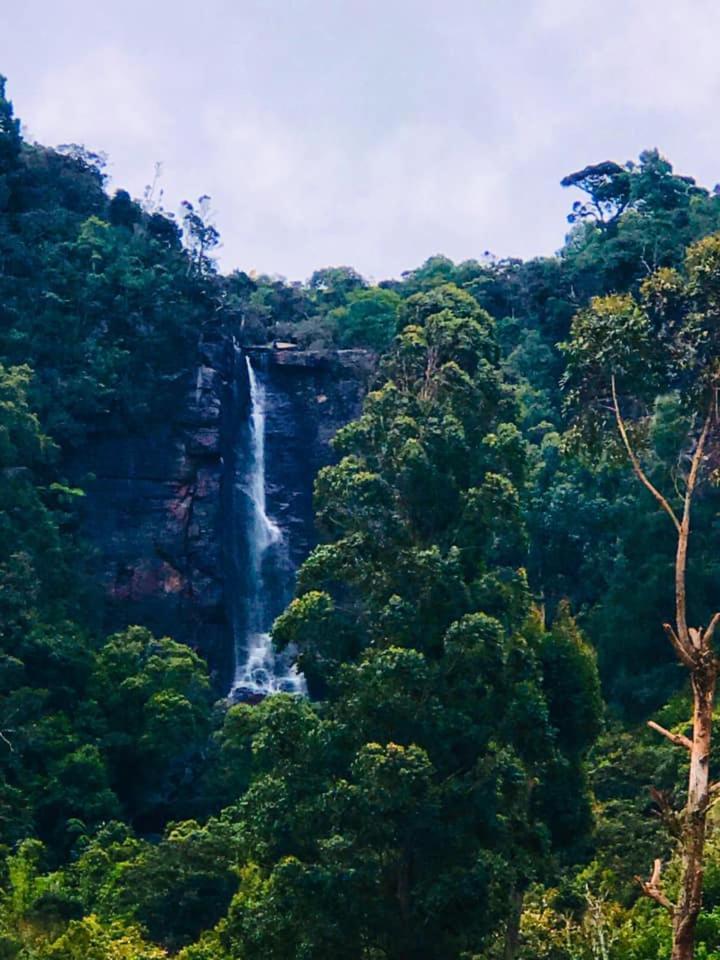 The Clovelly Bungalow Nuwara Eliya Bagian luar foto